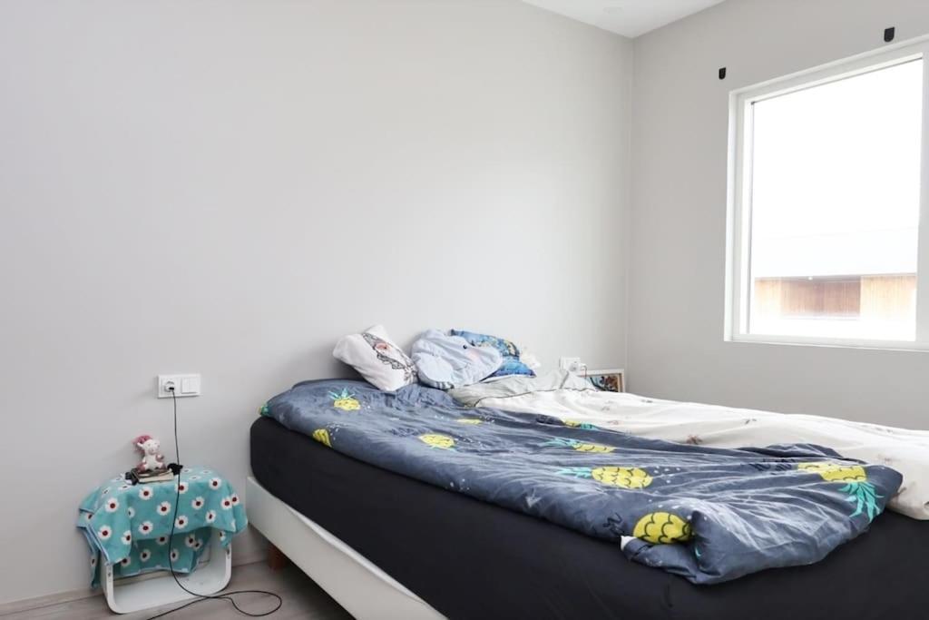 Nice & Cozy Two Bedroom Apartment With A Balcony Akureyri Exterior photo